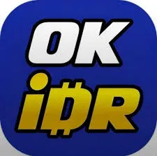 OKIDR - Petualangan Seru dalam Dunia Arcade
